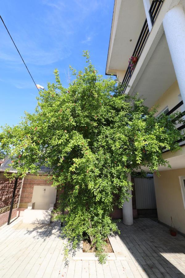 Rozalin Guest House Gudauta Ngoại thất bức ảnh